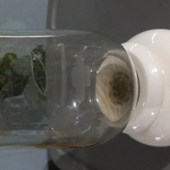 Lasting products inc - Picture 3 of 4